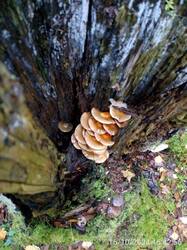 IMG-20241016-WA0021.jpg