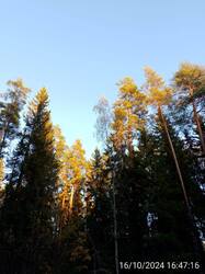 IMG-20241016-WA0026.jpg