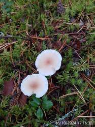 IMG-20241016-WA0030.jpg