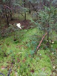 IMG-20241016-WA0032.jpg