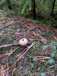 IMG-20241016-WA0034.jpg