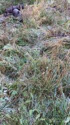 IMG_20241020_112221.jpg