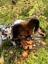 IMG_5261.jpeg