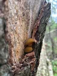 IMG_5324.jpeg