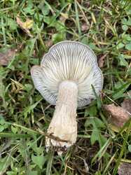 IMG_5573.jpeg