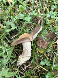 IMG_5575.jpeg