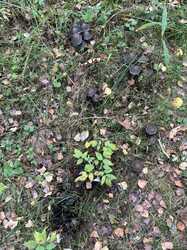 IMG_5682.jpeg