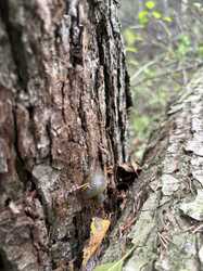 IMG_5687.jpeg