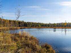 PA190335-ORF_DP_XD.jpg