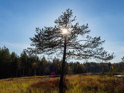 PA190351-ORF_DP_XD.jpg