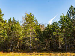 PA190356-ORF_DP_XD.jpg