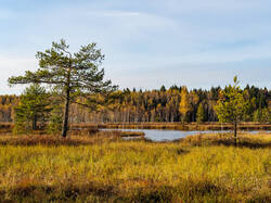 PA190358-ORF_DP_XD.jpg