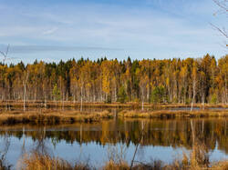 PA190360-ORF_DP_XD.jpg