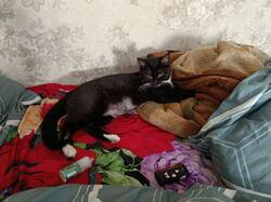 IMG-20240924-WA0019.thumb.jpg.e7c926cbf030f06b1d951219810228df.jpg