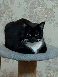 IMG-20241015-WA0012.thumb.jpg.0e8fabf6e7446e49f8afa4751352d2b0.jpg