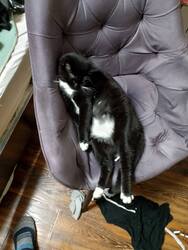 IMG-20241112-WA0043.thumb.jpg.387a24649c4138cbed8ed90f5a9e98d5.jpg