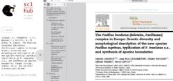 1637308830_2024-12-1412_24_18-Sci-Hub_ThePaxillusinvolutus(BoletalesPaxillaceae)complexinEurope_Gen.thumb.png.0e31bd2c8051314af23ef329a0c9ff99.png