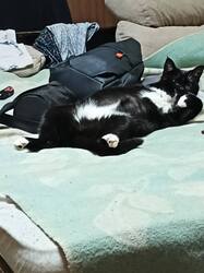 IMG-20241218-WA0000.thumb.jpg.164f864cc4eaeb29943add7dc37d8384.jpg