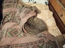 IMG_20241218_151158.thumb.jpg.bd17b8081f3b77bd0b40702fa315f1f2.jpg