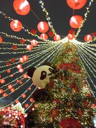 IMG_20250128_184259.thumb.jpg.543170b7b627cb5f9c8cc29a35d7f071.jpg