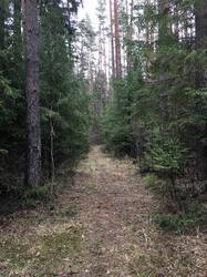 819B08AA-917B-419E-8508-82F0B7C75628.jpeg