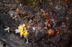 DSC05675.jpg
