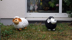 DSC06789.thumb.JPG.51c4738fb27aa3e5236954859f6699e2.JPG