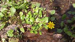 IMG-20250415-WA0017.jpeg
