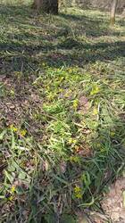 IMG-20250415-WA0054.jpeg