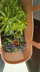 IMG-20250415-WA0062.jpeg
