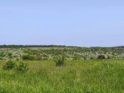 IMG_20230514_094633.jpg