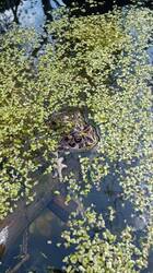 IMG_20250405_122457.jpg