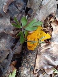 IMG_20250415_113449.jpg