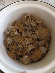 IMG_20250423_160301.thumb.jpg.eab5c166e33a8331a3d9ac0c4ff0aab2.jpg
