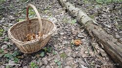 IMG_20250426_093529.jpg