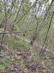 IMG_20250427_095027.jpg