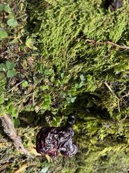 IMG_3060.jpeg