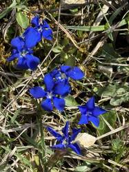 IMG_3066.jpeg
