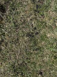 IMG_3075.jpeg