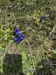 IMG_3077.jpeg