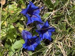 IMG_3078.jpeg
