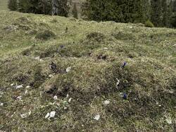 IMG_3079.jpeg