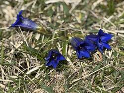IMG_3080.jpeg