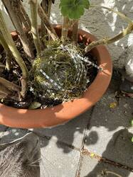 IMG_3088.jpeg