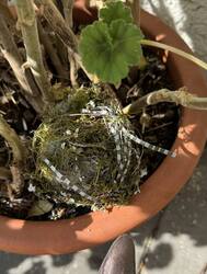 IMG_3090.jpeg