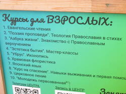 IMG_3391.thumb.JPG.5f17897540ecce507fd642b60915963e.JPG