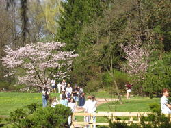 IMG_3732.thumb.JPG.ed695c60880bcd33aa5307a45371cd8a.JPG