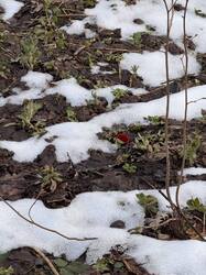 IMG_5632.jpeg