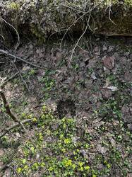 IMG_5710.jpeg
