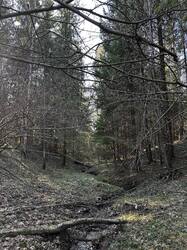 IMG_5841.jpeg